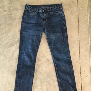 Citizens of Humanity Elson 31